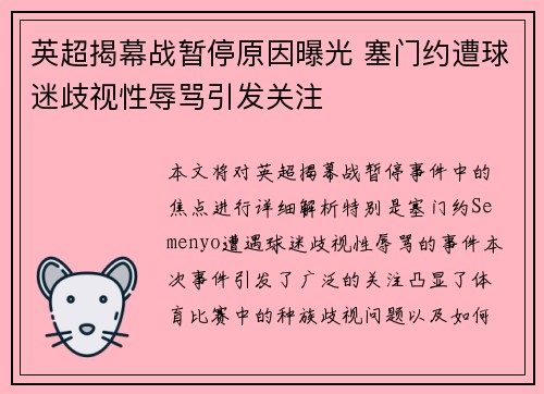 英超揭幕战暂停原因曝光 塞门约遭球迷歧视性辱骂引发关注