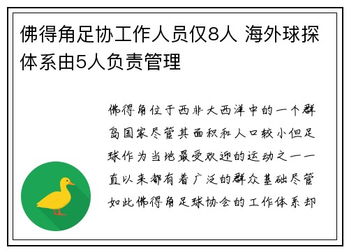 佛得角足协工作人员仅8人 海外球探体系由5人负责管理